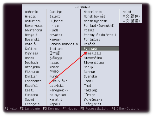 выбор языка в Ubuntu Linux 11.10